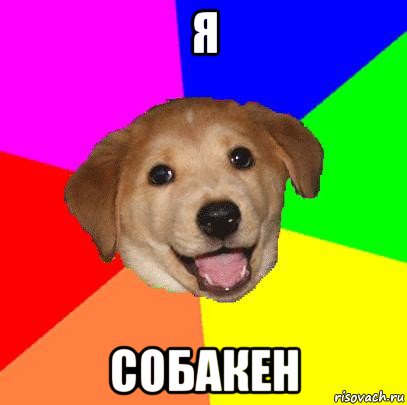 я собакен, Мем Advice Dog