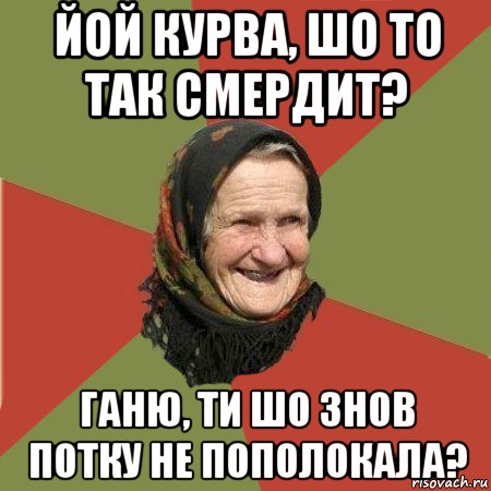 йой курва, шо то так смердит? ганю, ти шо знов потку не пополокала?, Мем  Бабушка