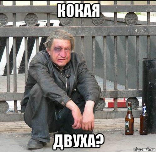 кокая двуха?