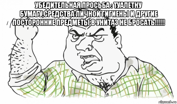 убедительная просьба : туалетну бумагу,средства личной гигиены и другие посторонние предметы в унитаз не бросать!!!!! , Мем Будь мужиком