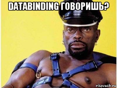 databinding говоришь? , Мем Черный властелин зерк