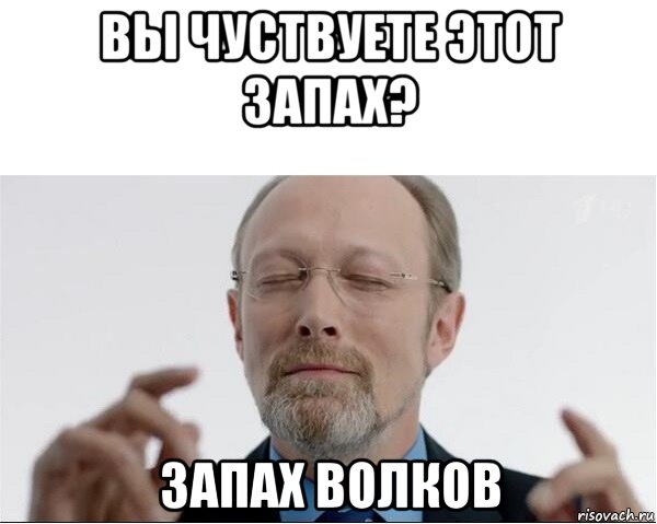 вы чуствуете этот запах? запах волков, Мем  чертоги разума