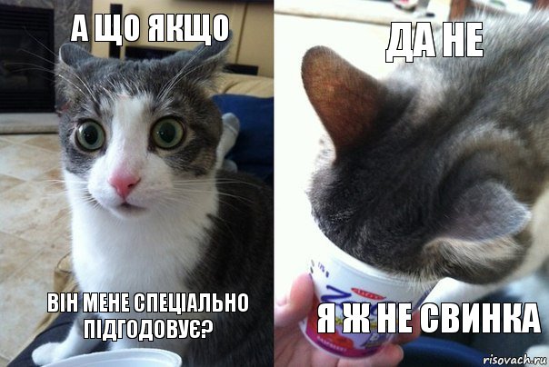 а що якщо він мене спеціально підгодовує? да не я ж не свинка, Комикс  Да не бред какой-то (4 зоны)