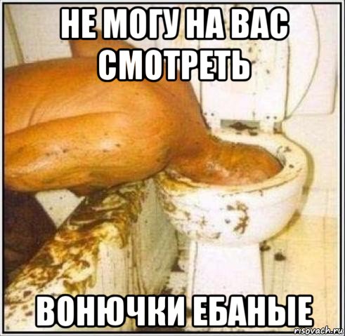 не могу на вас смотреть вонючки ебаные, Мем Дайвер