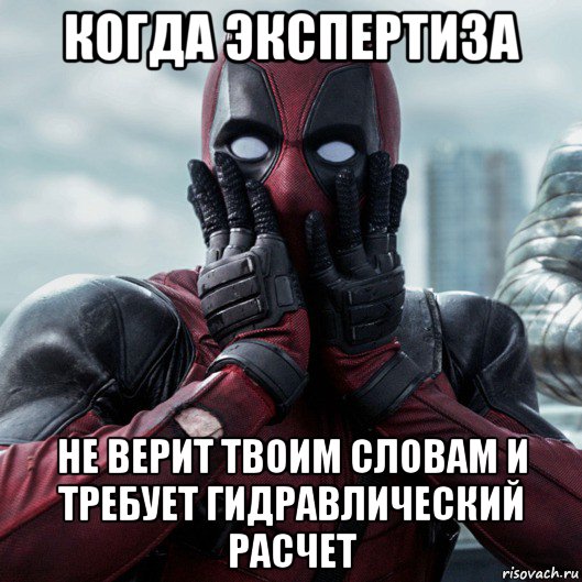 когда экспертиза не верит твоим словам и требует гидравлический расчет, Мем     Дэдпул