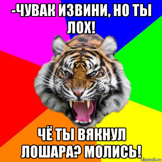 -чувак извини, но ты лох! чё ты вякнул лошара? молись!, Мем  ДЕРЗКИЙ ТИГР