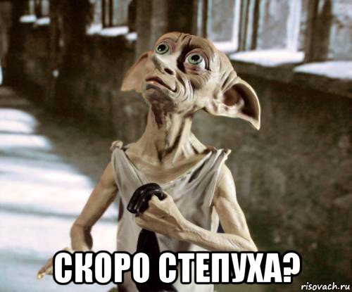  скоро степуха?