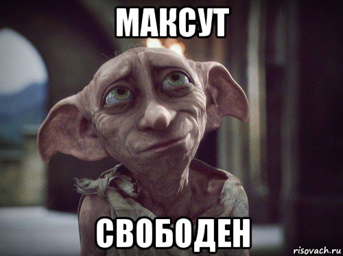 максут свободен, Мем    Добби свободен