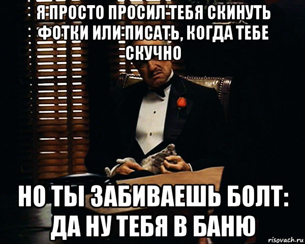 я просто просил тебя скинуть фотки или писать, когда тебе скучно но ты забиваешь болт: да ну тебя в баню, Мем Дон Вито Корлеоне