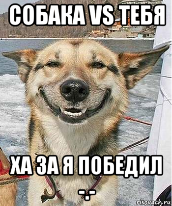 собака vs тебя ха за я победил -.-