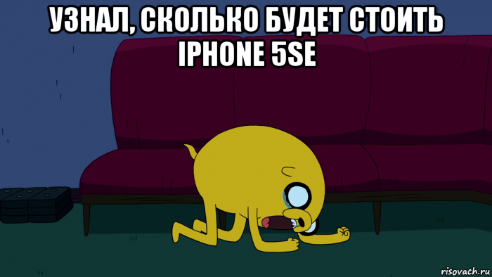 узнал, сколько будет стоить iphone 5se 