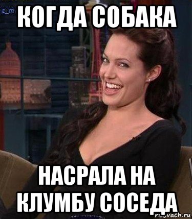 когда собака насрала на клумбу соседа, Мем Джоли