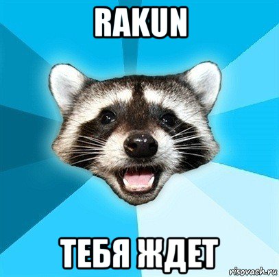 rakun тебя ждет