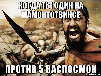 когда ты один на мамонтотвинсе против 5 васпосмок, Мем Это Спарта