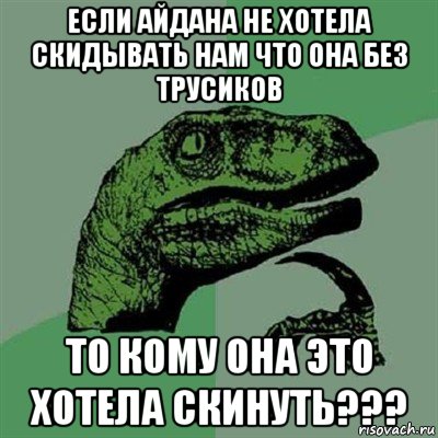 если айдана не хотела скидывать нам что она без трусиков то кому она это хотела скинуть???, Мем Филосораптор