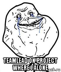  teamlead on project where i alone