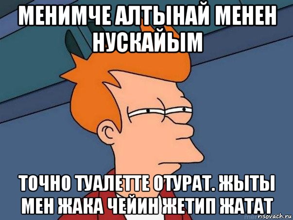 менимче алтынай менен нускайым точно туалетте отурат. жыты мен жака чейин жетип жатат, Мем  Фрай (мне кажется или)