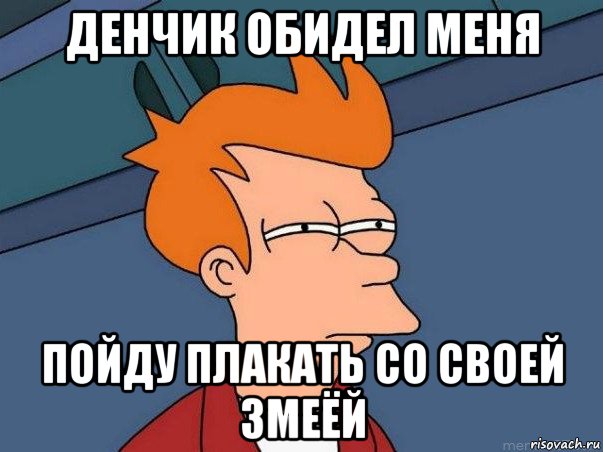 денчик обидел меня пойду плакать со своей змеёй, Мем  Фрай (мне кажется или)