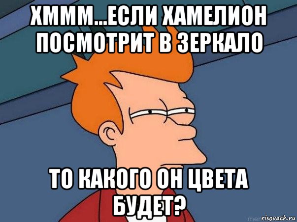 хммм...если хамелион посмотрит в зеркало то какого он цвета будет?, Мем  Фрай (мне кажется или)