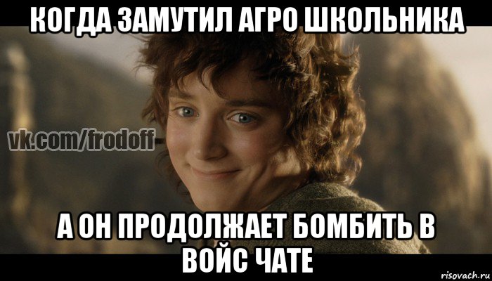 когда замутил агро школьника а он продолжает бомбить в войс чате, Мем  Фродо