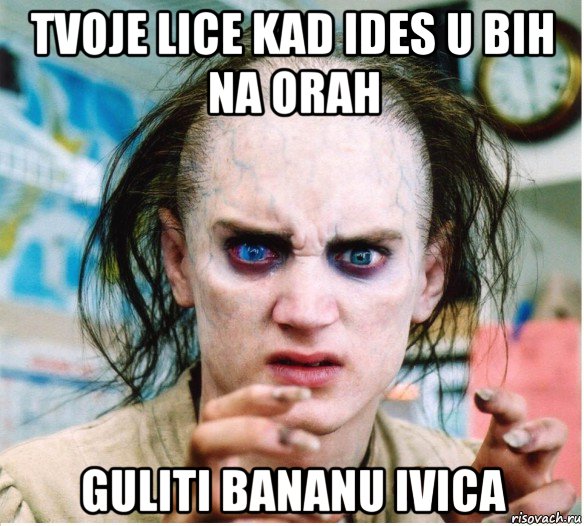 tvoje lice kad ides u bih na orah guliti bananu ivica, Мем фродум