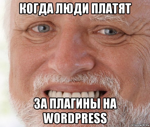 когда люди платят за плагины на wordpress