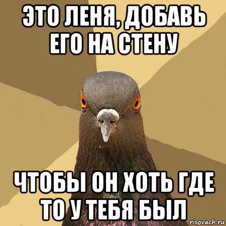 это леня, добавь его на стену чтобы он хоть где то у тебя был, Мем голубь