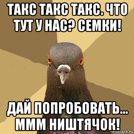 такс такс такс. что тут у нас? семки! дай попробовать... ммм ништячок!, Мем голубь