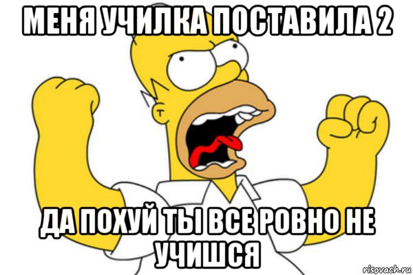 меня училка поставила 2 да похуй ты все ровно не учишся, Мем Разъяренный Гомер