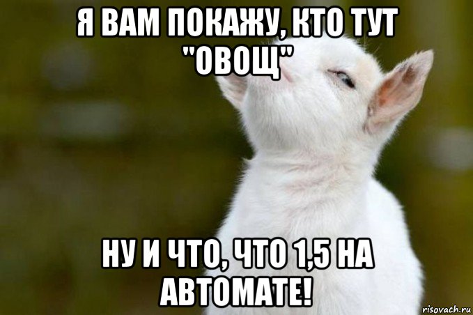 я вам покажу, кто тут "овощ" ну и что, что 1,5 на автомате!, Мем  Гордый козленок