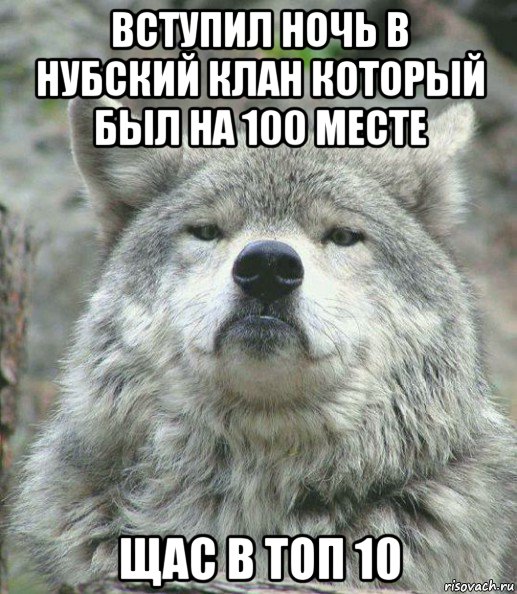 вступил ночь в нубский клан который был на 100 месте щас в топ 10, Мем    Гордый волк