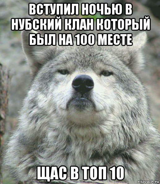 вступил ночью в нубский клан который был на 100 месте щас в топ 10, Мем    Гордый волк