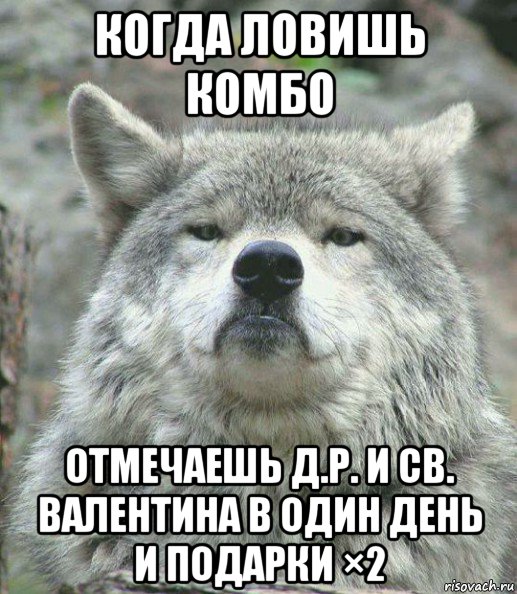 когда ловишь комбо отмечаешь д.р. и св. валентина в один день и подарки ×2, Мем    Гордый волк