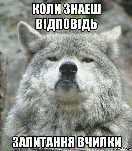 коли знаеш відповідь запитання вчилки, Мем    Гордый волк