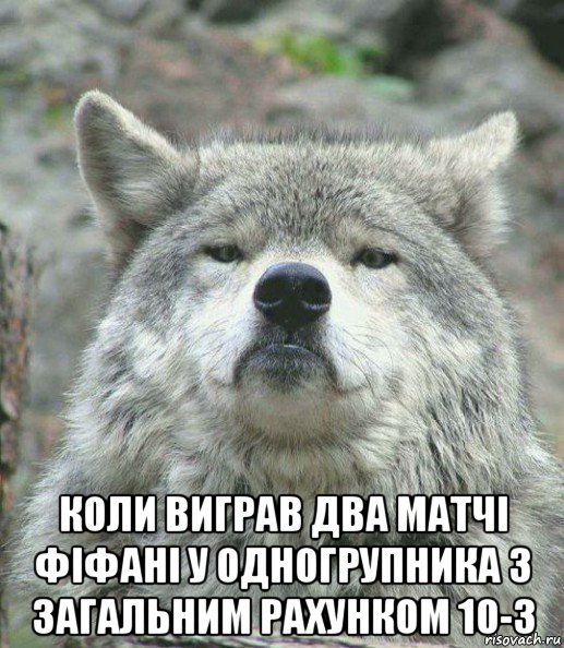  коли виграв два матчі фіфані у одногрупника з загальним рахунком 10-3, Мем    Гордый волк