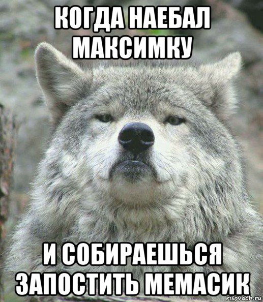 когда наебал максимку и собираешься запостить мемасик, Мем    Гордый волк