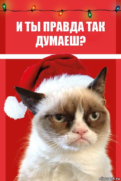 и ты правда так думаеш?, Комикс  Grumpy cat new year