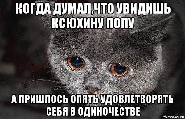 когда думал,что увидишь ксюхину попу а пришлось опять удовлетворять себя в одиночестве, Мем  Грустный кот