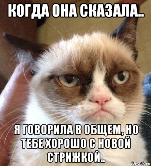 когда она сказала.. я говорила в общем, но тебе хорошо с новой стрижкой.., Мем Грустный (сварливый) кот