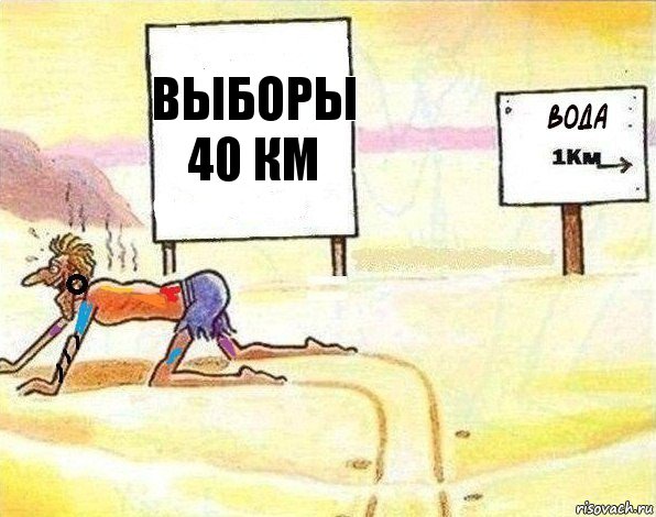 Выборы 40 км