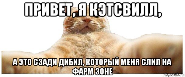 привет, я кэтсвилл, а это сзади дибил, который меня слил на фарм зоне, Мем   Кэтсвилл