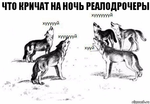 что кричат на ночь реалодрочеры, Комикс Когда хочешь