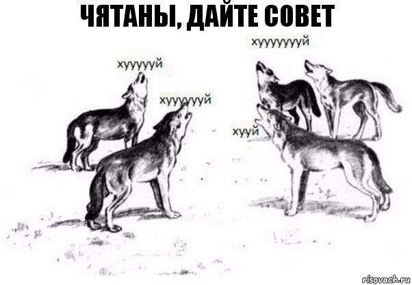 чятаны, дайте совет, Комикс Когда хочешь