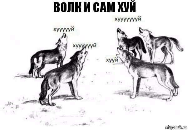 волк и сам хуй, Комикс Когда хочешь