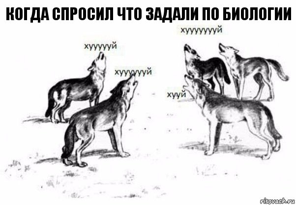 Когда спросил что задали по биологии, Комикс Когда хочешь