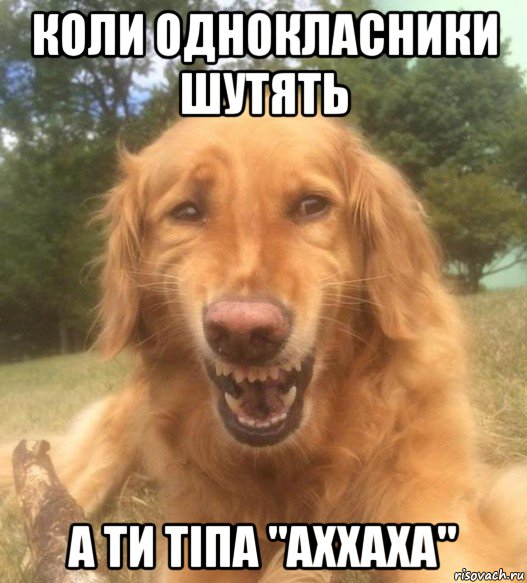 коли однокласники шутять а ти тіпа "аххаха", Мем   Когда увидел что соседского кота отнесли в чебуречную