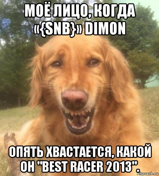 моё лицо, когда «{snb}» dimon опять хвастается, какой он "best racer 2013"., Мем   Когда увидел что соседского кота отнесли в чебуречную