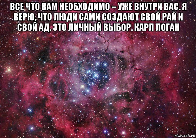 все что вам необходимо – уже внутри вас. я верю, что люди сами создают свой рай и свой ад. это личный выбор. карл логан , Мем Ты просто космос