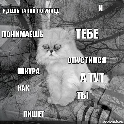 Идешь такой по улице А тут Тебе Пишет Шкура и Ты Понимаешь Как Опустился, Комикс  кот безысходность