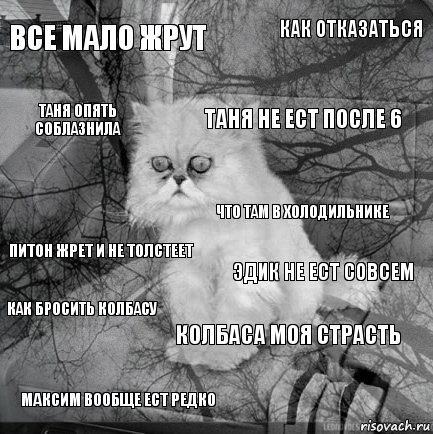 Все мало жрут Эдик не ест совсем Таня не ест после 6 Максим вообще ест редко Питон жрет и не толстеет Как отказаться Колбаса моя страсть Таня опять соблазнила Как бросить колбасу Что там в холодильнике, Комикс  кот безысходность